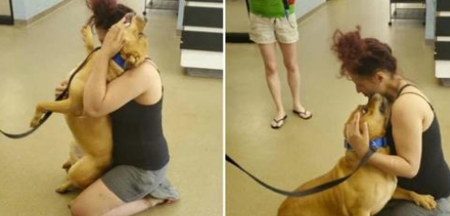 La jeune femme va dans un refuge pour adopter un animal et voit son chien disparu depuis 2 ans